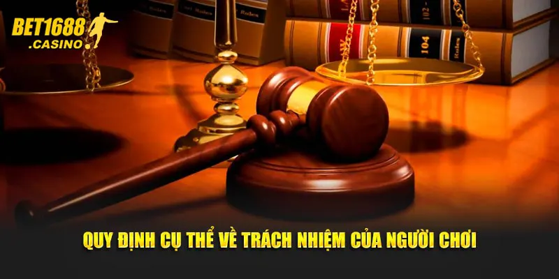 Quy định cụ thể về trách nhiệm của người chơi