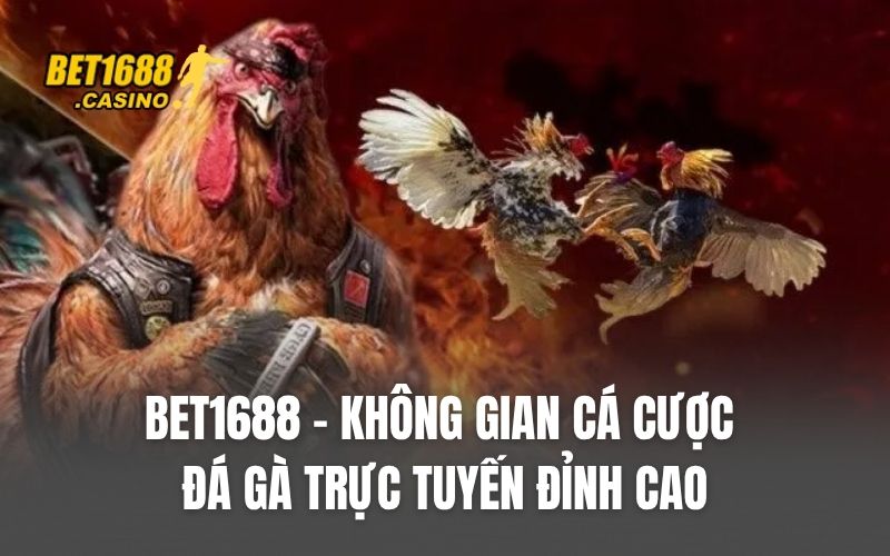 BET1688 – Không gian cá cược đá gà trực tuyến đỉnh cao