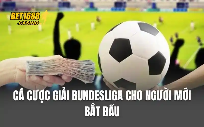 Cá cược giải Bundesliga cho người mới bắt đầu