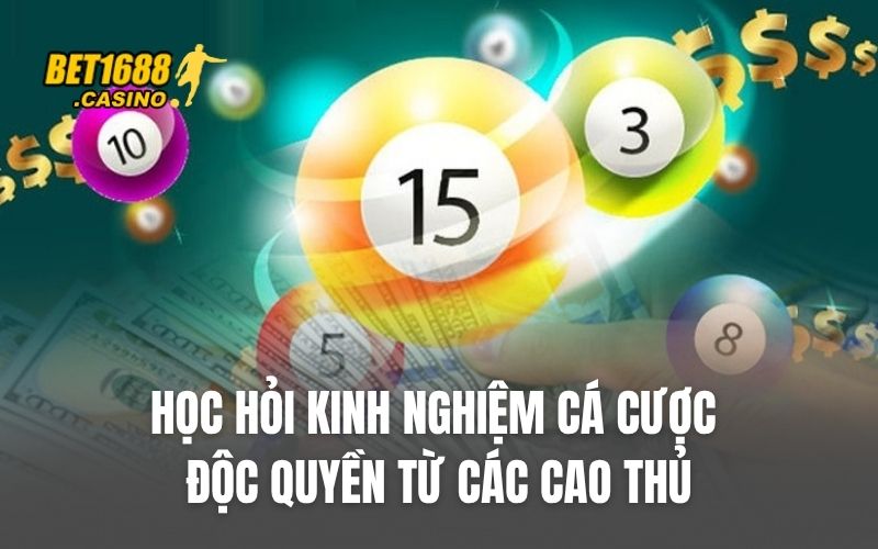 Học hỏi kinh nghiệm cá cược độc quyền từ các cao thủ
