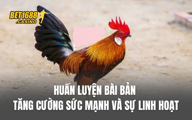 Huấn luyện bài bản tăng cường sức mạnh và sự linh hoạt