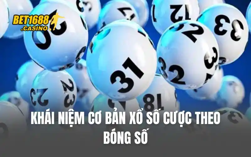 Khái niệm cơ bản xổ số cược theo bóng số