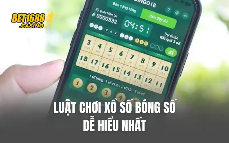 Luật chơi xổ số bóng số dễ hiểu nhất