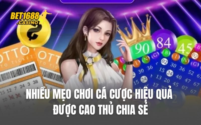 Nhiều mẹo chơi cá cược hiệu quả được cao thủ chia sẻ
