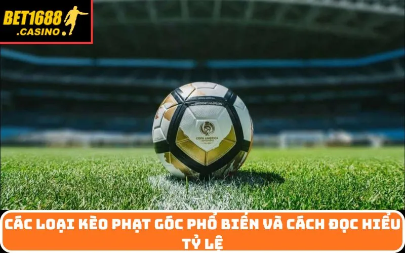 Các Loại Kèo Phạt Góc Phổ Biến và Cách Đọc Hiểu Tỷ Lệ