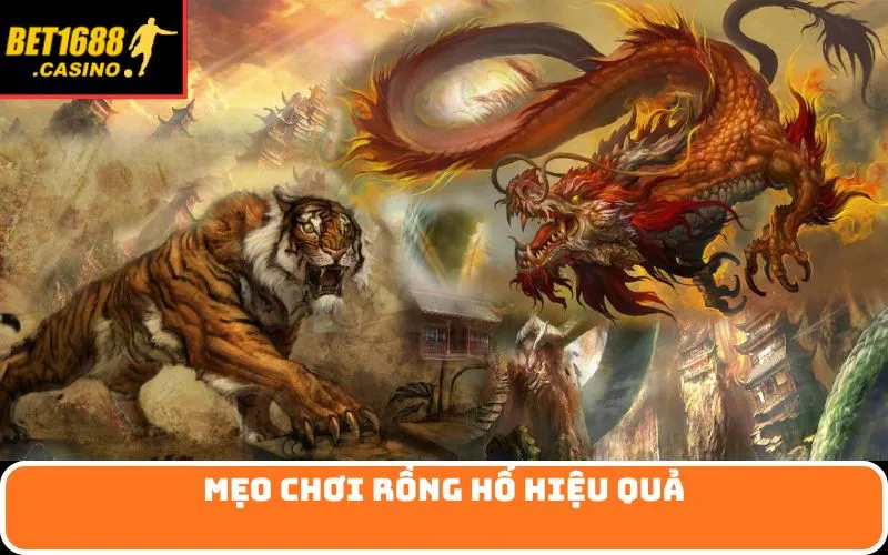 Mẹo chơi rồng hổ hiệu quả