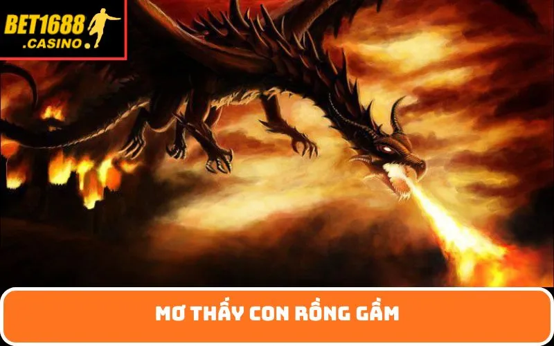 Mơ thấy con rồng gầm