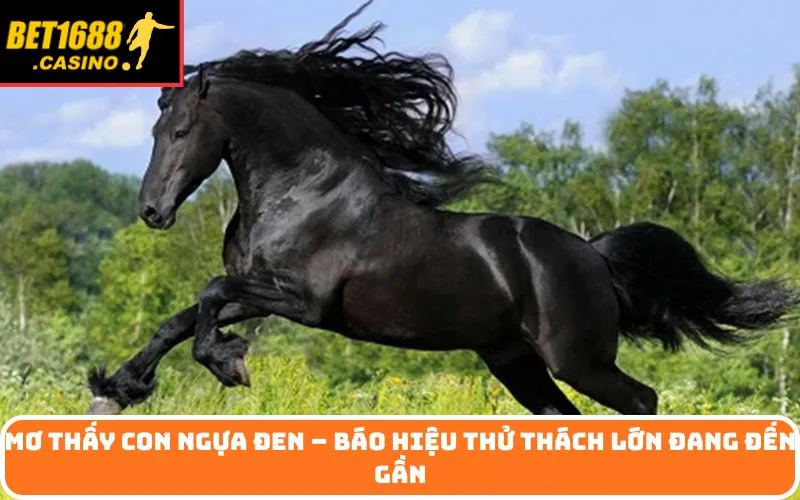 Mơ thấy con ngựa đen – Báo hiệu thử thách lớn đang đến gần