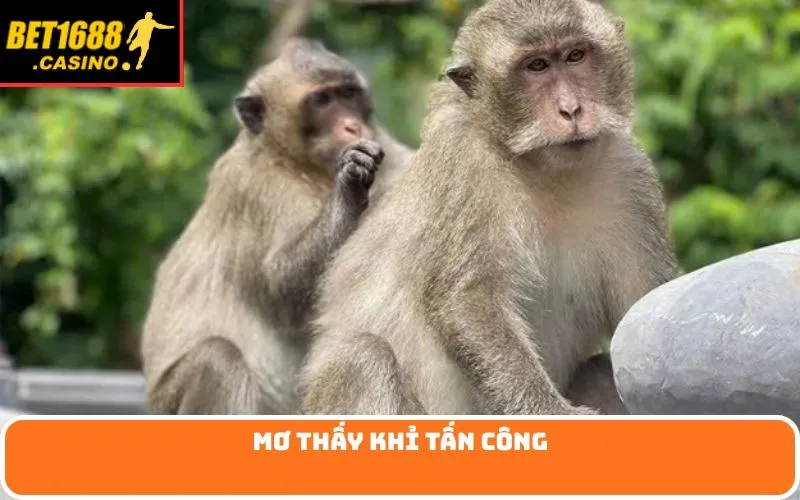 Mơ thấy khỉ tấn công