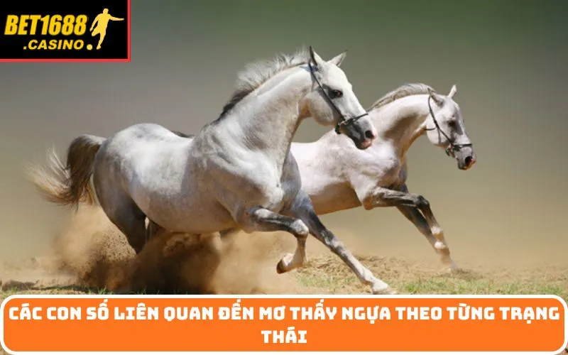 Các con số liên quan đến mơ thấy ngựa theo từng trạng thái