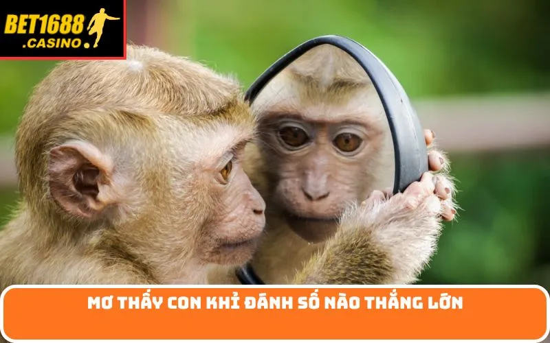 Mơ thấy con khỉ đánh số nào thắng lớn