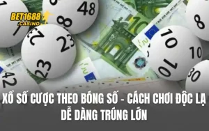 Xổ Số Cược Theo Bóng Số - Cách Chơi Độc Lạ Dễ Dàng Trúng Lớn
