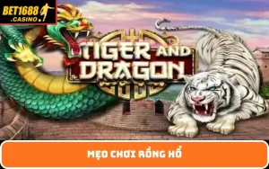 Mẹo chơi rồng hổ