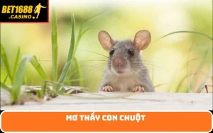mơ thấy con chuột