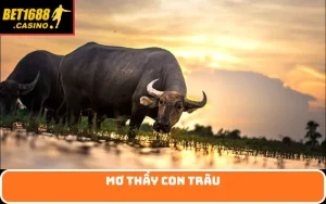 mơ thấy con trâu