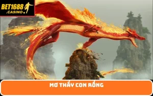 Mơ thấy con rồng