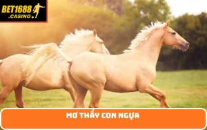 mơ thấy con ngựa